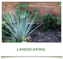 landscaping pic Landscaping, Landscape Service & Design, Irrigation, Sprinkler Installation | Austin, Tx