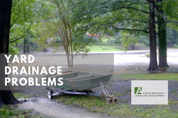 How to Manage a Swampy Backyard