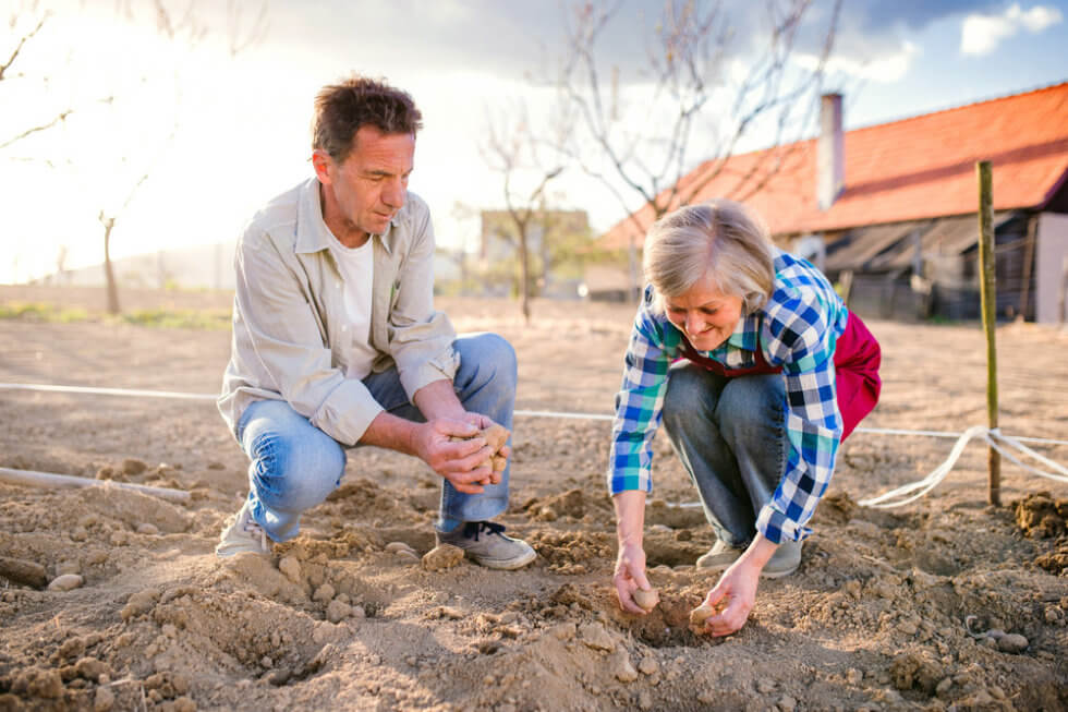 Irrigation Methods to Prevent Flooding on Your Property Austin